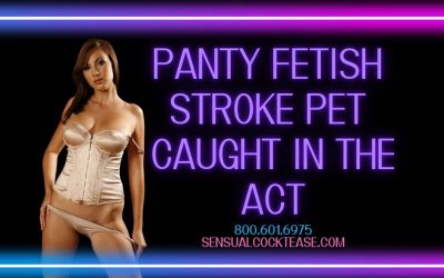 Panty Fetish Stroke Pet Caught in the Act by Sensual Cocktease Goddess Demi
